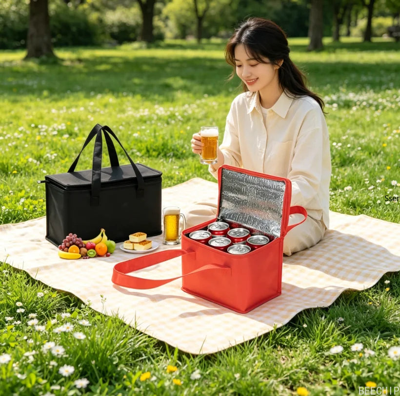 HomeAura Insulated Lunch Cooler Bag – Portable Picnic & Food Storage Tote